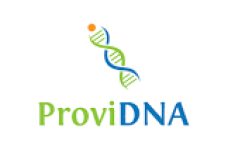 PROVIDNA